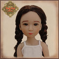 Long with Braids Synthetic Hair Wig (KD0008A)