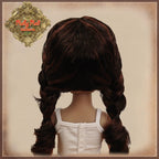 Long with Braids Synthetic Hair Wig (KD0008A)