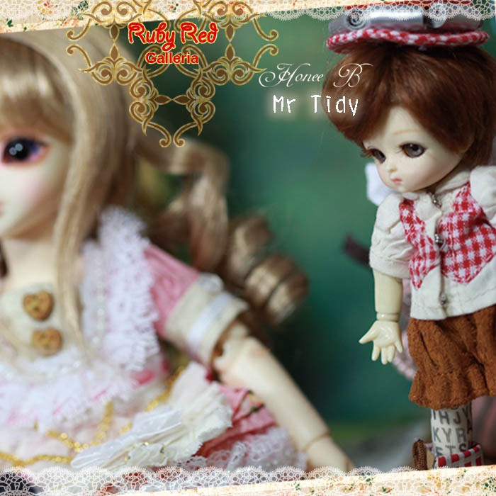 4.5'' Honee-B, Mr. Tidy (CA0018A)