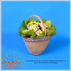 8'' StrawBerina, Flying around with Butterflies (GA0008A)