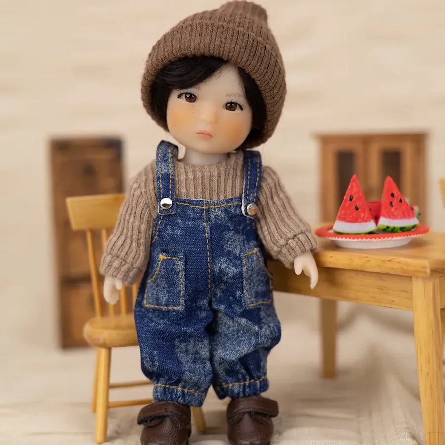 5.5" Shan Denim & Sweater Outfit (HC0114A)